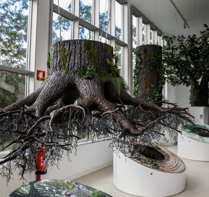 Nature Interpretation center in Sintra