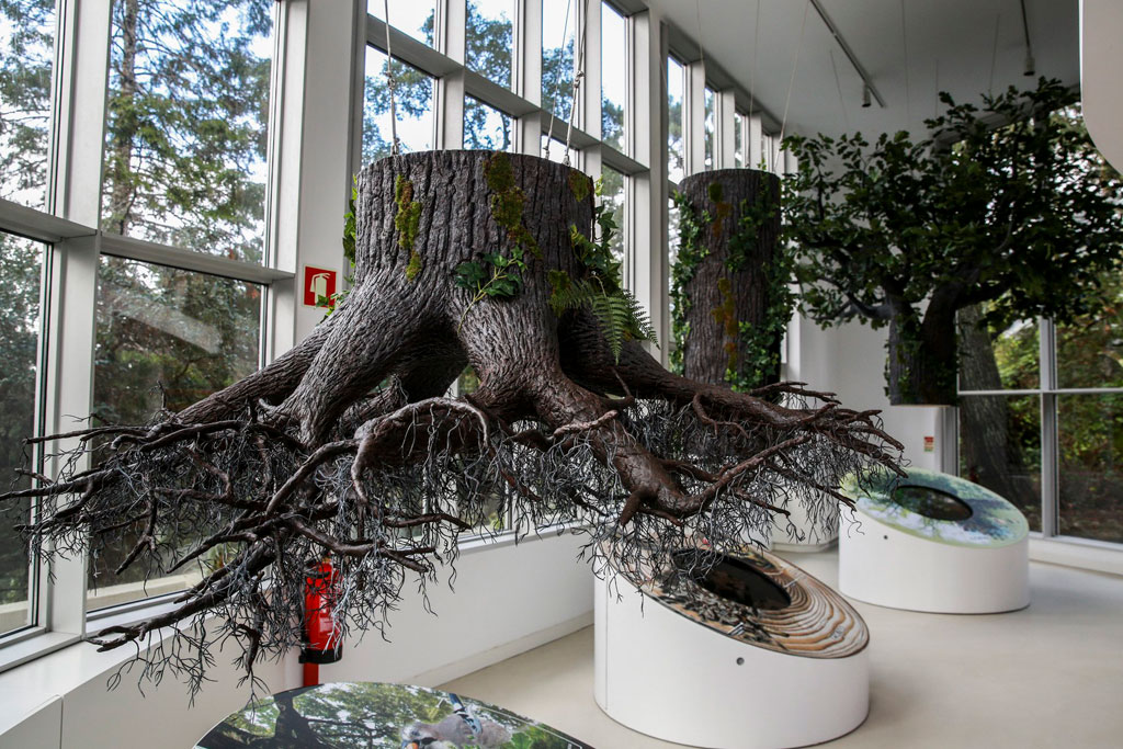 Nature Interpretation center in Sintra